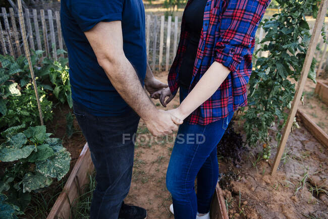 High angle side view of crop anonymous couple holding hands while standing between plants growing in farm — Stock Photo