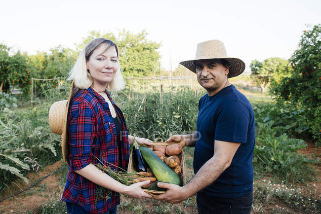 Couple of man and woman farmers holding wicker basket with zucchini potatoes carrots and eggplants during harvesting works looking at camera — Stock Photo