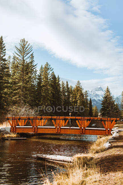 Explorador irreconhecível distante que está em pé na passarela de madeira sobre o rio estreito que flui através de florestas coníferas na área montanhosa no Parque Nacional de Banff do Canadá no dia de outono — Fotografia de Stock