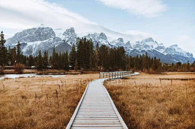 Curvy boardwalk located in grassy valley near coniferous forest and snowy mountain ridge in town of Canmore, Alberta — Stock Photo