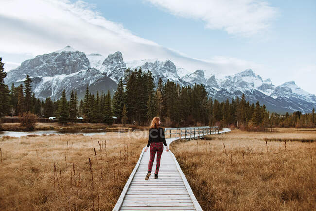 Back view of unrecognizable woman walking on curvy boardwalk located in grassy valley near coniferous forest and snowy mountain ridge in town of Canmore, Alberta — Stock Photo