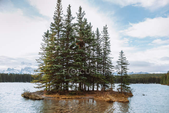 Conifere verdi che crescono sull'isolotto in mezzo al lago Two Jack contro il cielo blu nuvoloso in Alberta, Canada — Foto stock