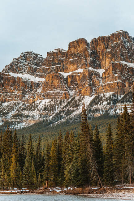 Arbres à conifères poussant près du mont Castle enneigé sur la rive de la rivière par temps froid dans le parc national Banff — Photo de stock