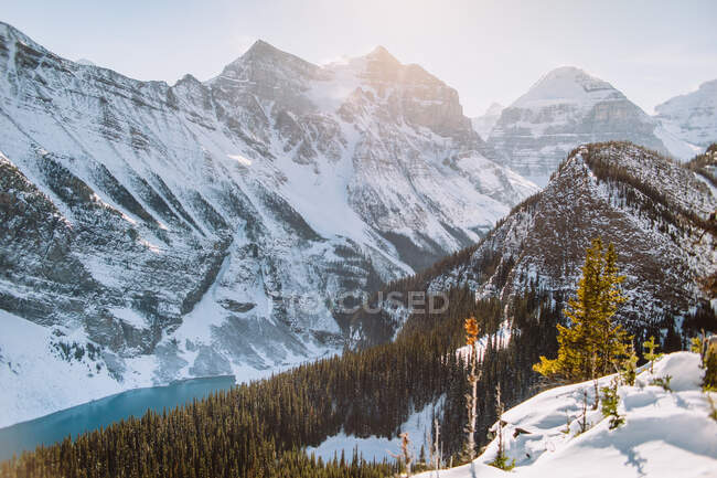 Snowy mountain ridge and coniferous forest located on shores of Lake Louise on sunny winter day in Banff National Park — Stock Photo