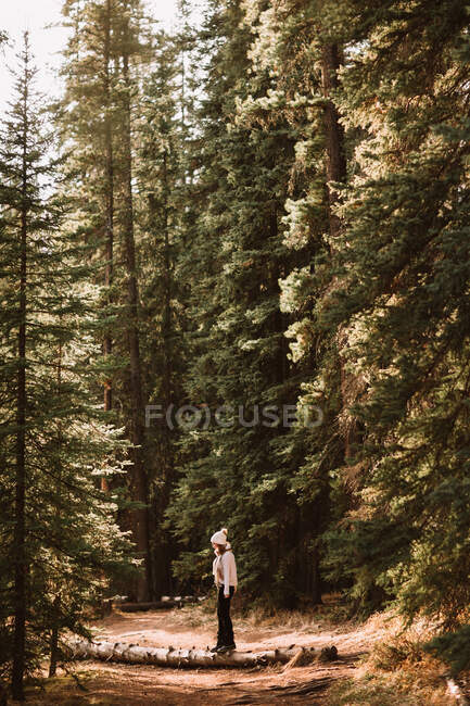 Seitenansicht einer Reisenden, die auf einem Baumstamm auf einem Pfad im Nadelwald in der Nähe der Crescent Falls an einem sonnigen Tag in Alberta, Kanada steht — Stockfoto