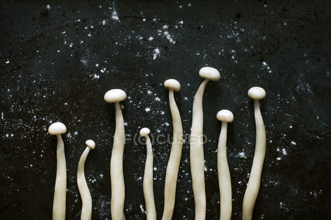 Вид сверху белых грибов эноки для приготовления пищи, расположенных рядами на черном столе — стоковое фото