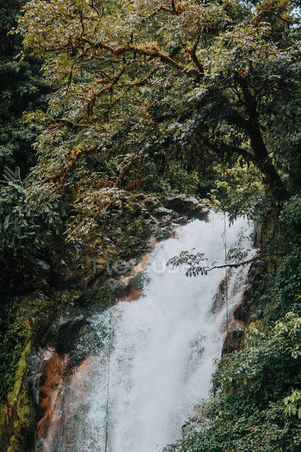 Malerische Landschaft mit Wasserfällen, die von steilen Felsen fallen, umgeben von üppiger, grüner tropischer Vegetation in der Provinz Alajuela in Costa Rica — Stockfoto