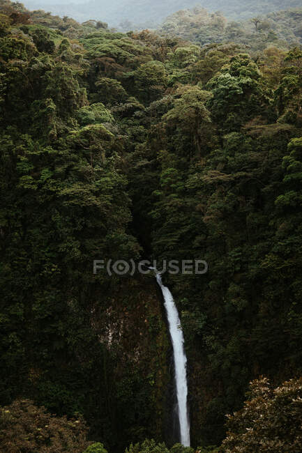 De acima da paisagem pitoresca da cachoeira que cai da rocha íngreme cercada pela vegetação tropical verdejante exuberante na província de Alajuela de Costa Rica — Fotografia de Stock
