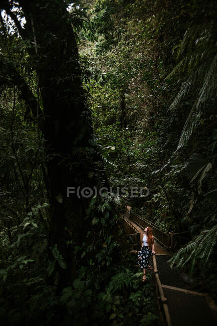Jeune femme assise sur une passerelle étroite entourée d'une végétation tropicale luxuriante et regardant vers le haut tout en explorant la nature pendant l'aventure estivale dans la province d'Alajuela au Costa Rica — Photo de stock