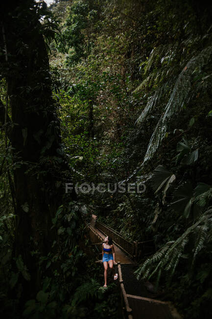 Mujer joven sentada en una estrecha pasarela rodeada de una exuberante vegetación tropical alta y mirando hacia arriba mientras explora la naturaleza durante la aventura de verano en la provincia de Alajuela, Costa Rica - foto de stock
