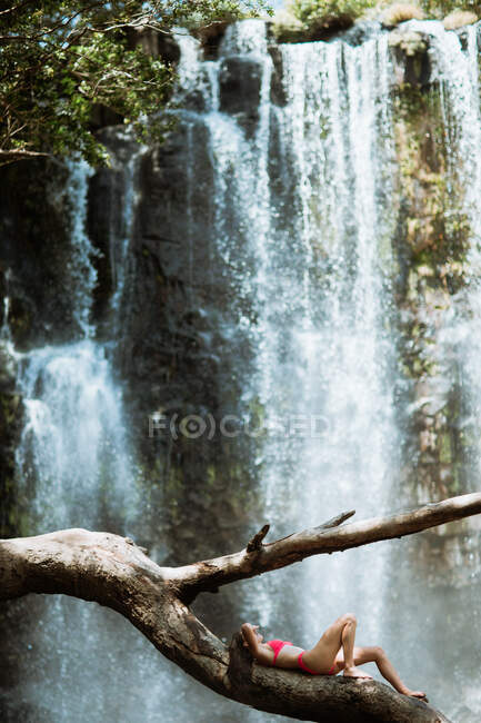 Vue latérale d'une voyageuse mince méconnaissable en bikini rose couchée sur une grande branche de vieux arbres contre une cascade pittoresque tombant d'une pente rocheuse pendant la journée d'été au Costa Rica — Photo de stock
