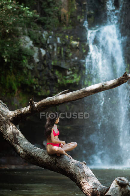 Нерозпізнаний тонкий жіночий мандрівник у рожевому бікіні сидить на старому гілці дерева проти мальовничого водоспадного каскаду, що падає з кам 