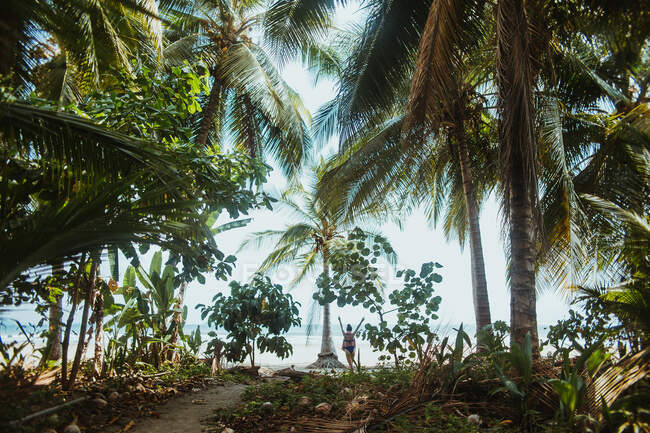 Обратный вид на далекую неузнаваемую женщину-туристку, стоящую с поднятыми руками на тропическом побережье с экзотической растительностью во время летних каникул в Коста-Рике — стоковое фото