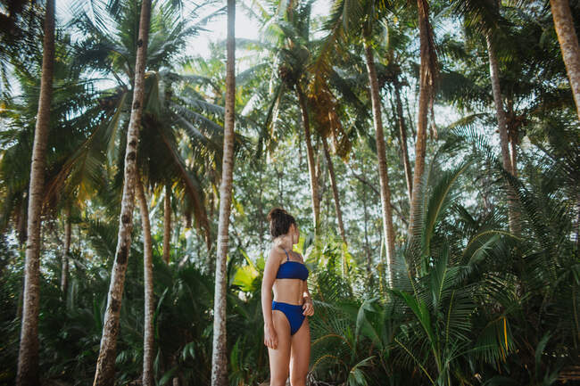 Mujer joven pacífica en traje de baño de pie mirando hacia otro lado contra las altas palmeras verdes durante las vacaciones de verano en la costa de Costa Rica - foto de stock
