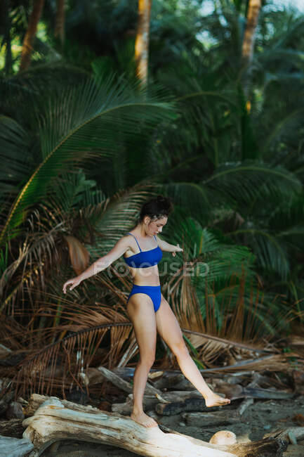 Полное тело молодой худенькой женщины в синем бикини балансирует на деревянном бревне против пышных зеленых тропических пальм, проводя летние каникулы на берегу моря в Коста-Рике — стоковое фото