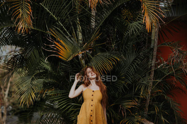 Unbekümmerte Hündin mit Ingwerhaaren und Sommerkleid steht unter Palme in exotischem Park in Costa Rica — Stockfoto