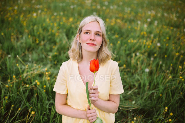 Mulher sorridente com tulipa vermelha no prado — Fotografia de Stock