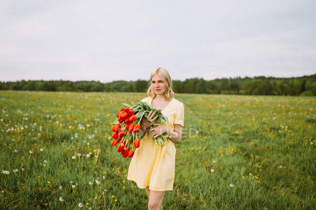 Contenido femenino en vestido de pie con ramo de flores de tulipán rojo en el prado en verano y mirando hacia otro lado - foto de stock