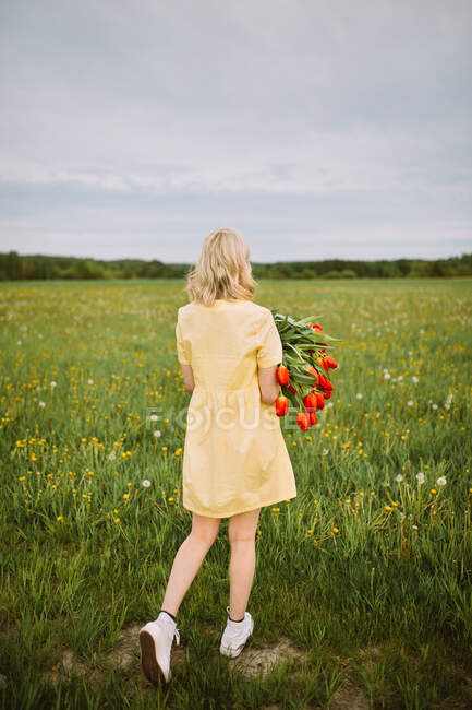 Vista posteriore femminile in abito in piedi con mazzo di fiori di tulipano rosso nel prato in estate e guardando altrove — Foto stock