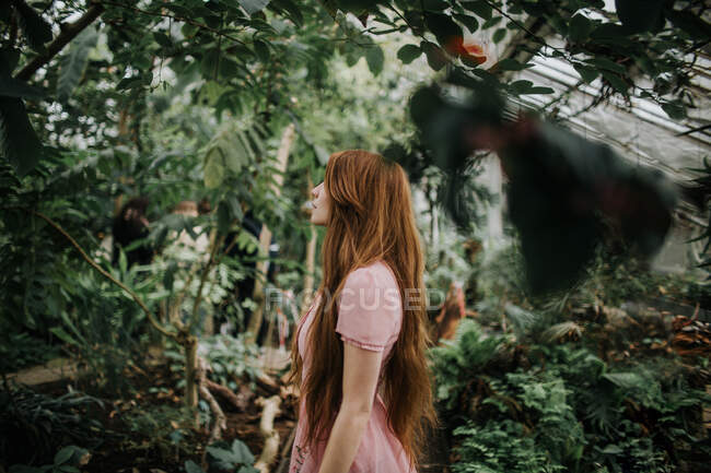 Side view of of redhead female standing among tropical palm and plants in glasshouse — Stock Photo