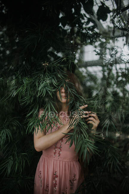 Weibchen steht im üppigen Gewächshaus und versteckt Gesicht hinter Zweig eines Baumes mit grünem Laub — Stockfoto