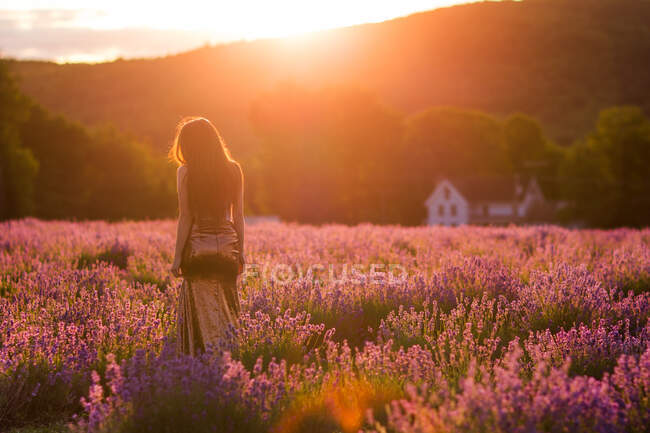 Back view of unrecognizable female in elegant dress standing in blooming lavender field at sundown in mountains — Stock Photo