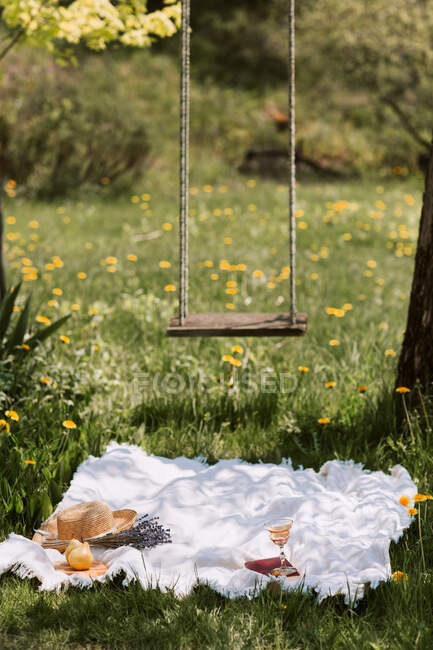 Picknickdecke mit femininen Accessoires auf einer grünen Wiese in der Nähe von Schaukeln, die an einem sonnigen Sommertag in der Natur am Baum hängen — Stockfoto