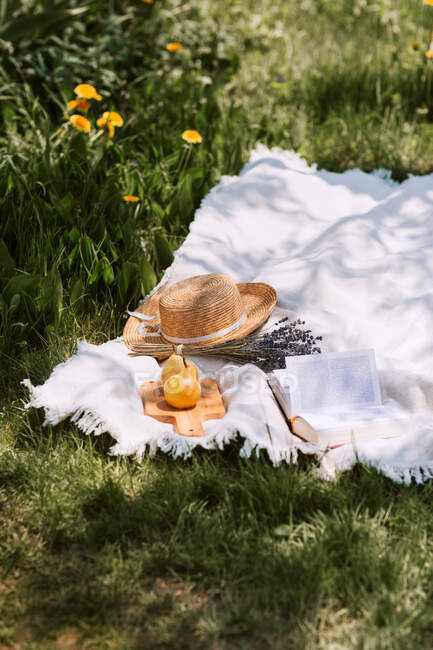 Пікнік з жіночими аксесуарами розміщений на зеленому лузі в сонячний літній день у сільській місцевості — стокове фото