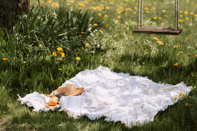 Одеяло для пикника с женскими аксессуарами на зеленом лугу возле качелей, висящих на дереве в солнечный летний день в сельской местности — стоковое фото