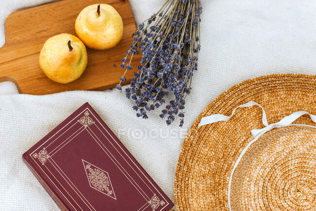 Picnic blanket with feminine accessories placed on green meadow in sunny summer day in countryside — Stock Photo