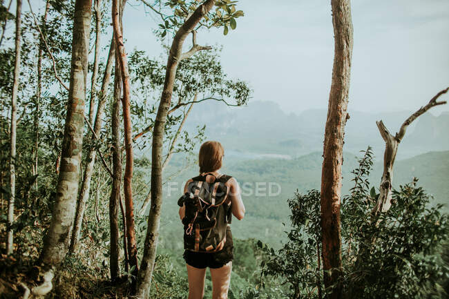 Vue de dos d'une randonneuse méconnaissable avec un sac à dos debout près de grands arbres au-dessus de fourrés de jungle verte dans la nature sauvage — Photo de stock