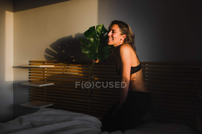 Стрілянина чуттєвої вродливої жінки, що посміхається між світлом і тінню у білизні на ліжку, дивлячись у бік — стокове фото