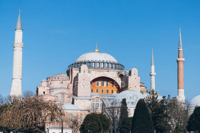 Aged Hagia Sophia mosque located near leafless trees against cloudless blue sky on sunny day in Istanbul, Turkey — Stock Photo