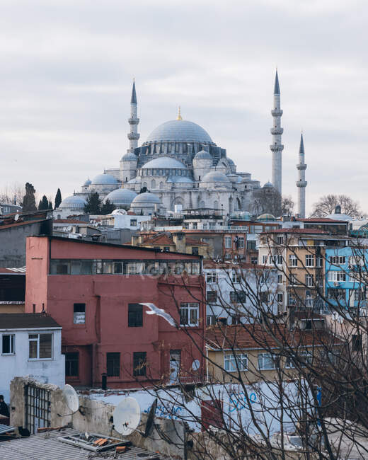 Житловий район з вивітреними будинками, розташованими біля традиційної мечеті проти хмарного неба з птахом у місті Туреччини. — стокове фото