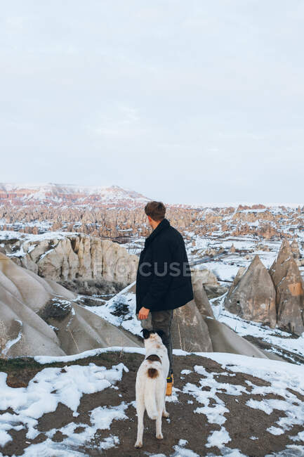 Обратный вид неузнаваемого человека в теплой одежде с верной собакой на снежном холме против туманных гор в пасмурную погоду в Турции — стоковое фото