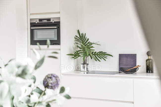 Belle et spacieuse cuisine dans une maison élégante — Photo de stock