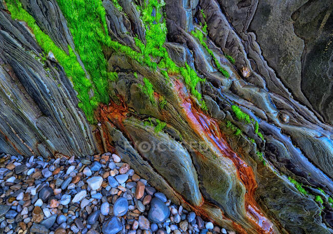 Mare intimo con muschio sulla scogliera — Foto stock