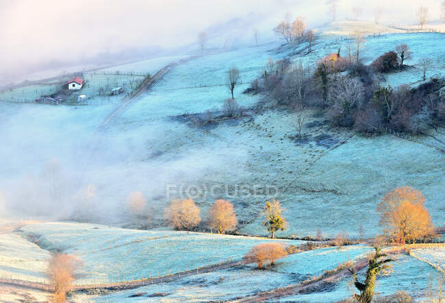 Vista pintoresca infrarroja de la colina con casa de campo y árboles cubiertos de humo en el campo - foto de stock