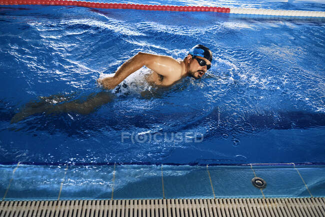 Высокий угол подтянутого мужского плавания в стиле ползания в бассейне во время тренировки — стоковое фото