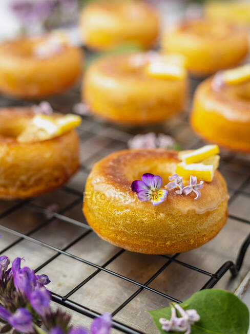 From above of tasty donuts on cooling rack with leaves between blooming lavender sprigs on marble surface — Stock Photo