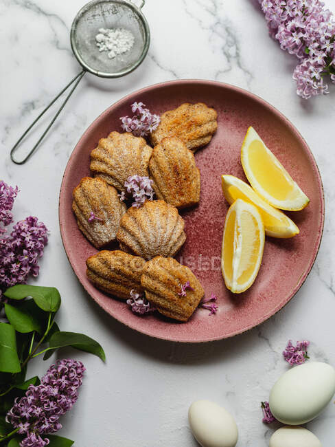 Overhead view of tasty madeleines with fresh lemon pieces and Lavandula flowers between icing sugar in sieve and eggs — Stock Photo