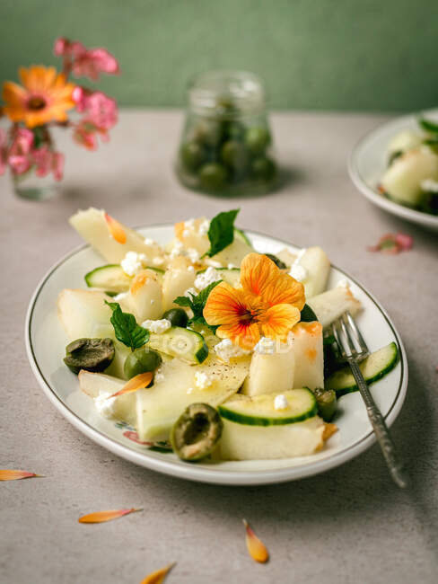 Köstlicher Melonensalat mit Gurken und Oliven auf Teller serviert mit Kräutern in der Nähe von Salzstreuer und Serviette — Stockfoto
