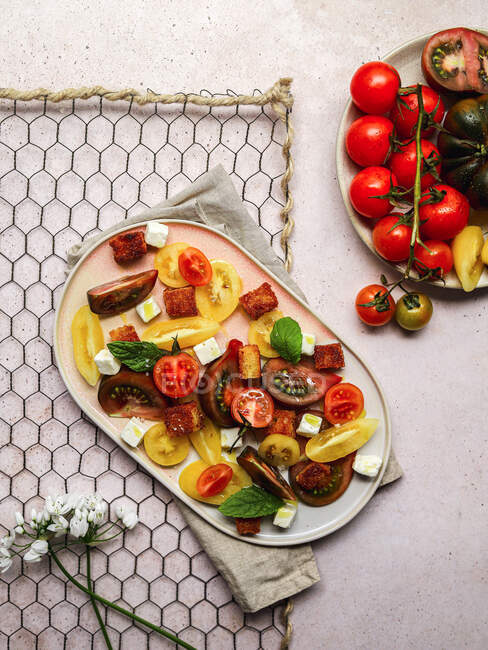 Vista superior da salada de tomate vegetariana com cubos de queijo feta servido na placa em mesa de concreto cinza — Fotografia de Stock