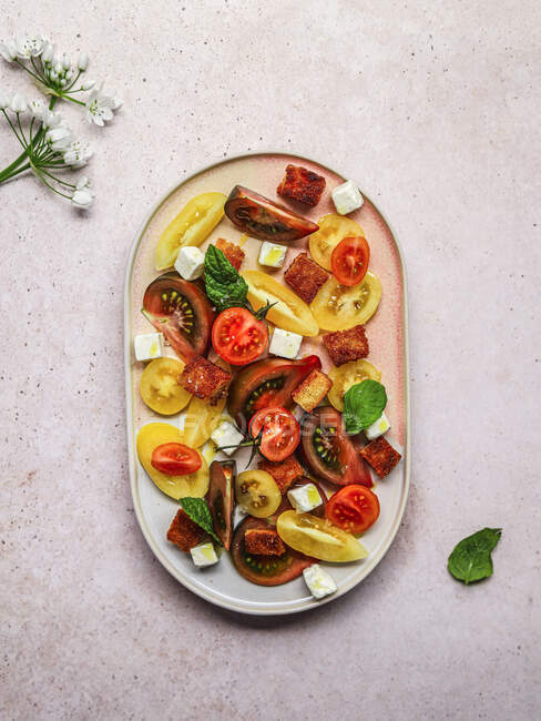 Вид зверху на вегетаріанський томатний салат з кубиками сиру фета, який подається на тарілці на сірому бетонному столі — стокове фото