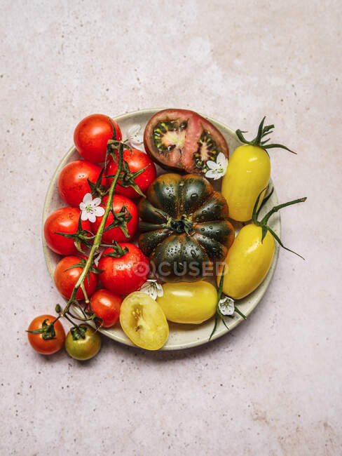 Вид зверху на вегетаріанський томатний салат з кубиками сиру фета, який подається на тарілці на сірому столі — стокове фото