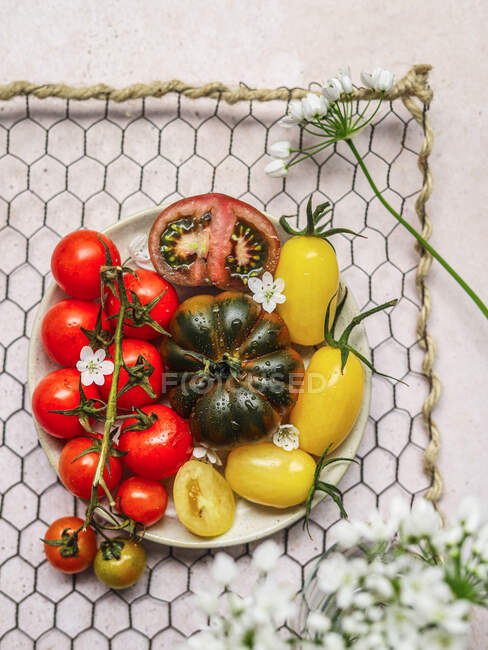 Верхній вид вегетаріанського томатного салату подається на тарілці в стійці на сірому бетонному столі. — стокове фото