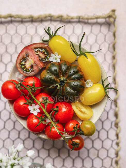 Top view of vegetarian tomato salad served on plate in a rack on gray concrete table — Stock Photo