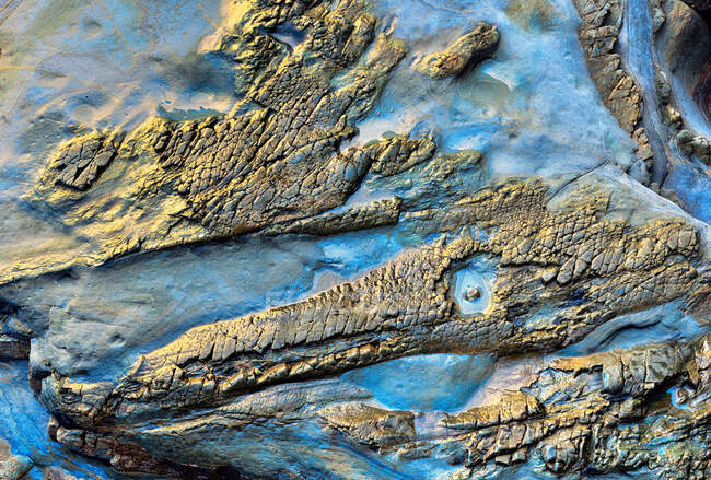 Pterodactylus on the rock of a beach — Stock Photo