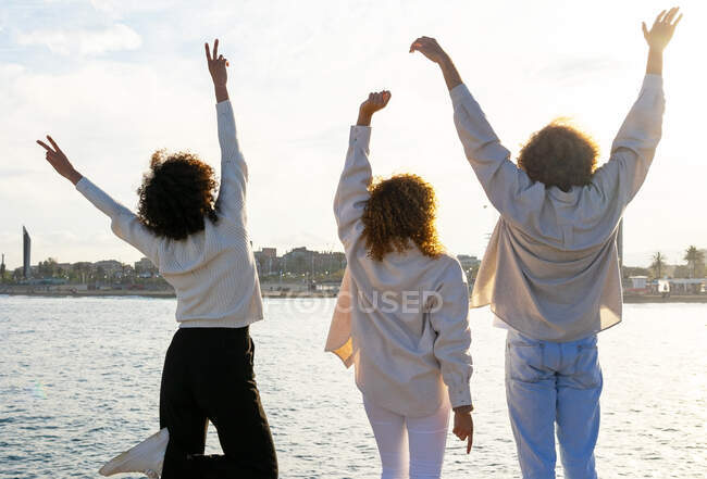 Vista posterior del grupo de hombres y mujeres con el pelo rizado levantando los brazos y disfrutando de la libertad mientras están de pie en el paseo marítimo de la ciudad - foto de stock