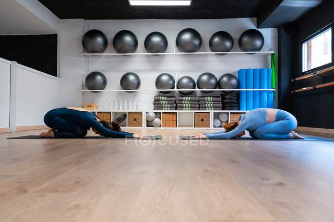 Visão lateral de corpo inteiro de mulheres magras calmas fazendo postura de crianças estendidas enquanto alongam o corpo e relaxam durante a aula de ioga juntos no estúdio de fitness — Fotografia de Stock